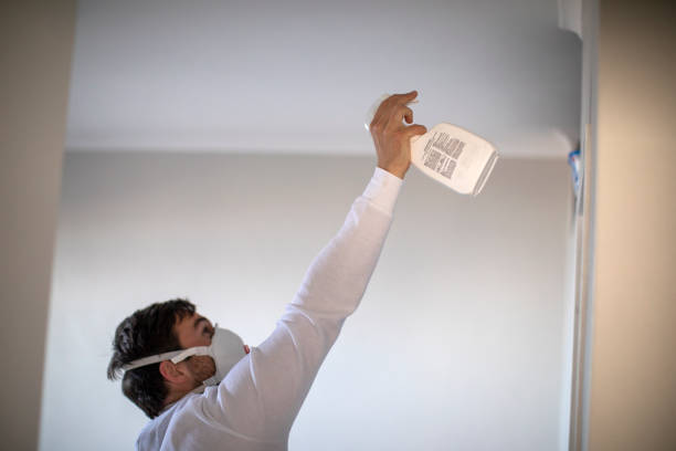 Best Mold Cleaning Services  in Ash Flat, AR