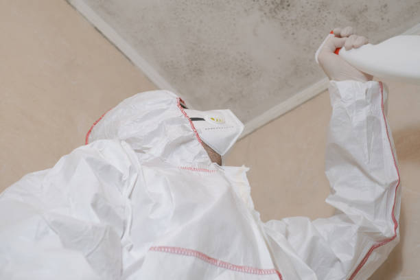 Best Office Mold Removal Services  in Ash Flat, AR